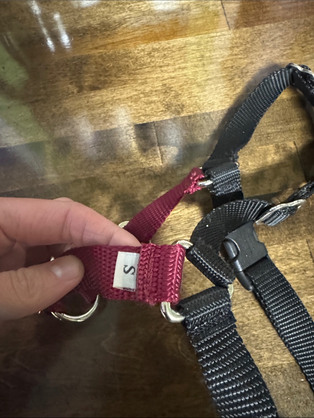 Wonder Walker Two-Tone Dog Harness in Burgundy & Black - Picture 4 of 5